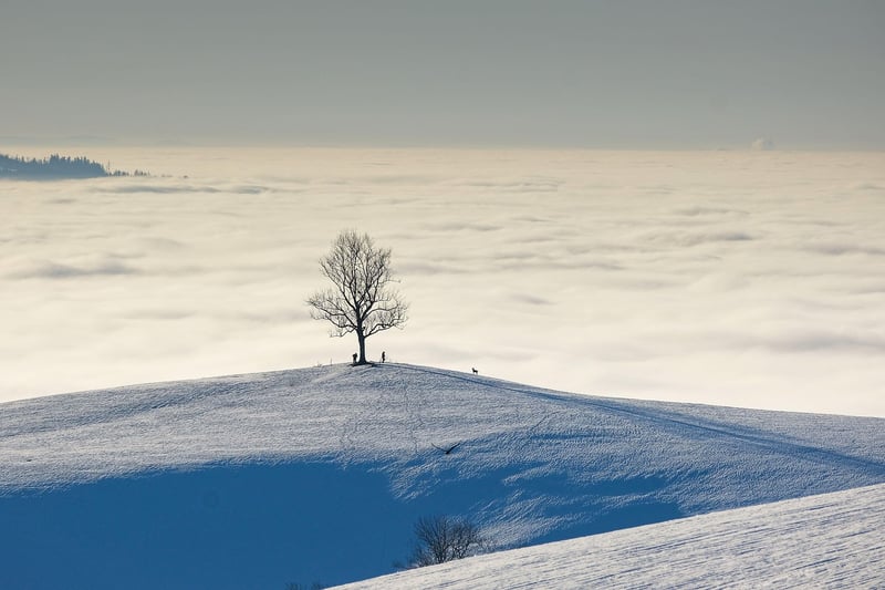 Mountain Climbing